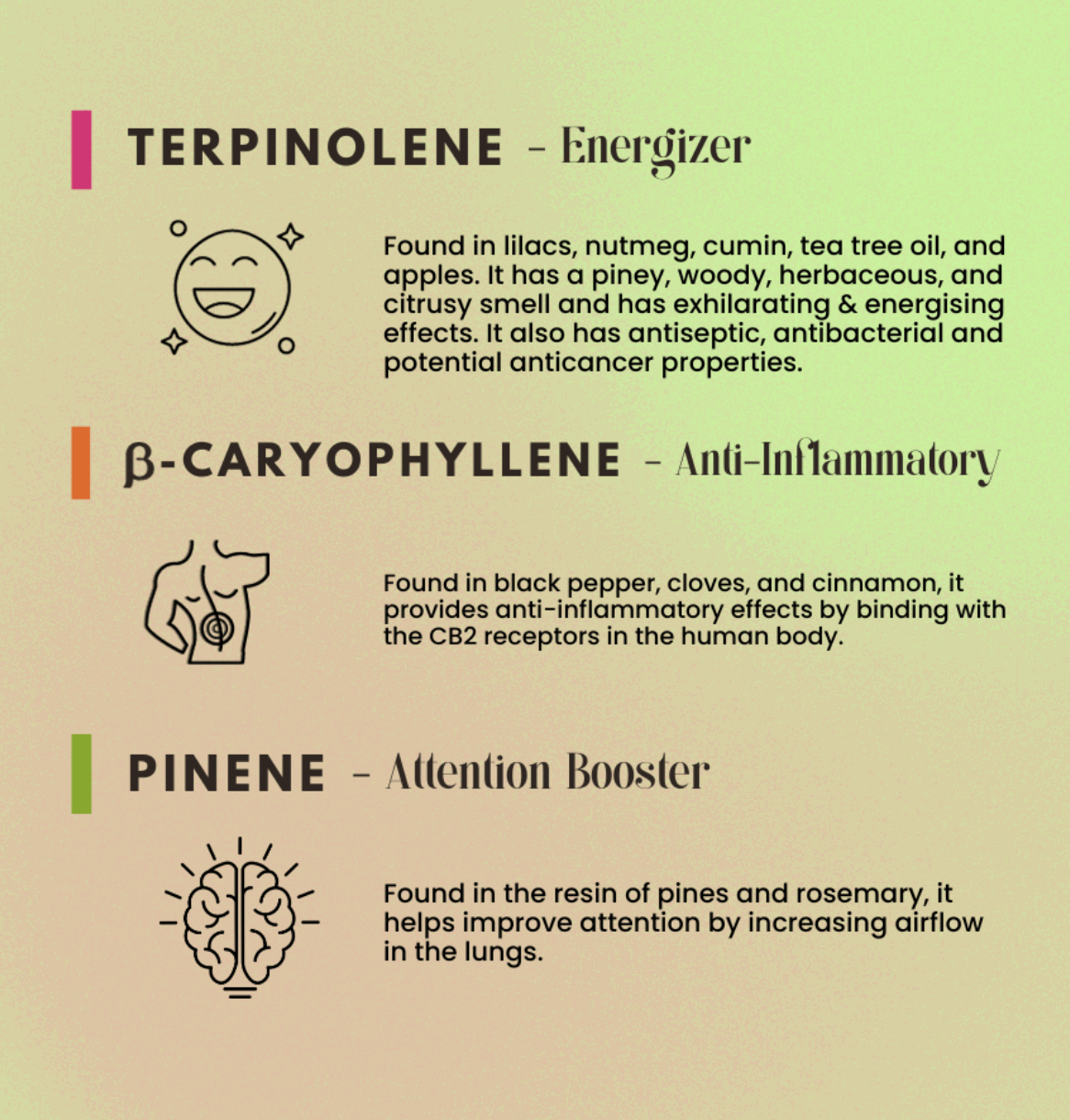 Gin {Like} & Tonic