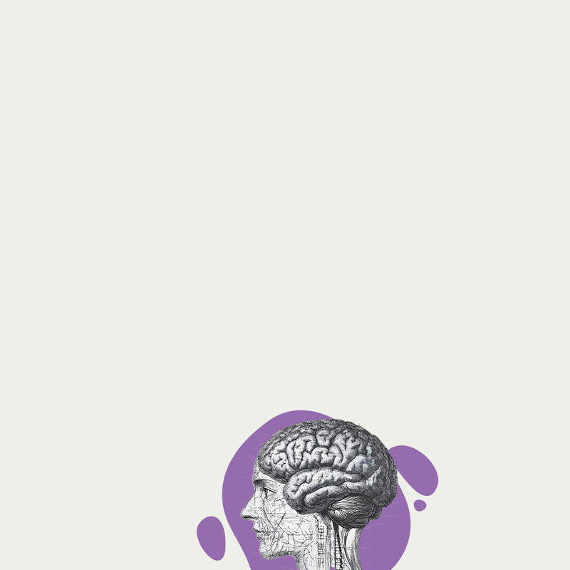 Study on Linalool’s effect on anxiety (PubMed).
